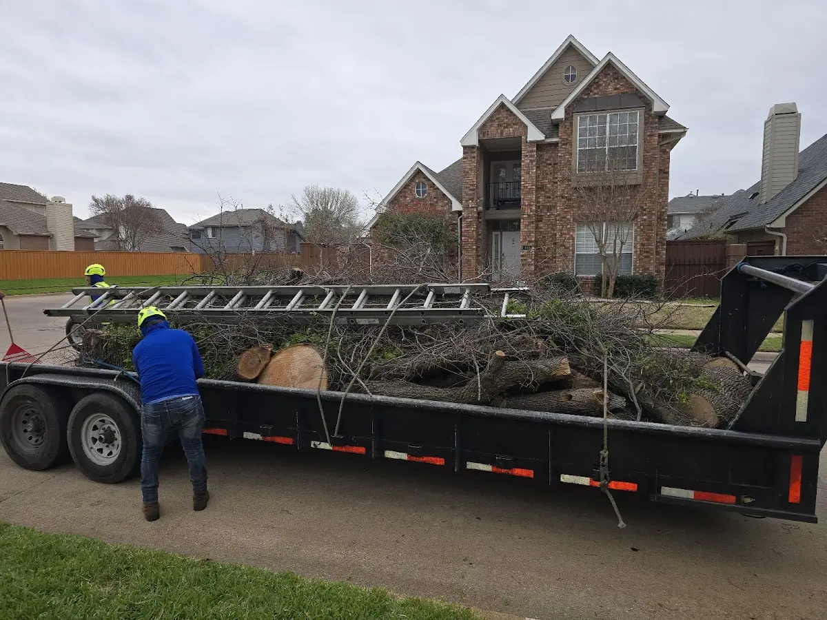 Expert Tree Pest Control with proper safety equipment in De Soto